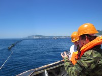 Разработка и экспериментальное обоснование Методических рекомендаций по определению достаточного состава сил и средств для ликвидации разливов нефти и нефтепродуктов на морских акваториях