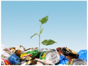 Разработка, согласование и утверждение Проекта нормативов образования отходов и лимитов на их размещение (ПНООЛР)